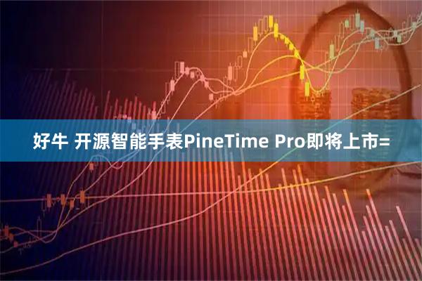好牛 开源智能手表PineTime Pro即将上市=