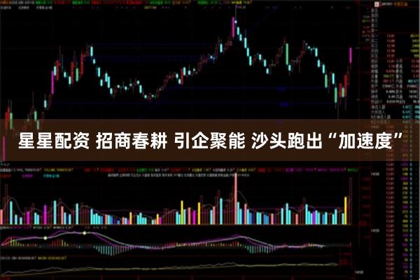 星星配资 招商春耕 引企聚能 沙头跑出“加速度”