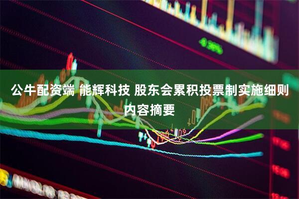 公牛配资端 能辉科技 股东会累积投票制实施细则内容摘要