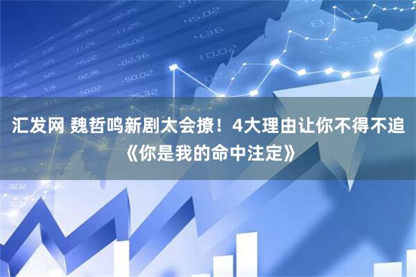 汇发网 魏哲鸣新剧太会撩！4大理由让你不得不追《你是我的命中注定》